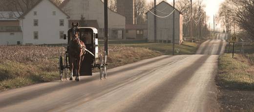 Horse and Buggy Rides: An Authentic Amish Experience