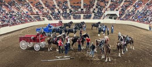 Lancaster County Fairs and Farm Shows