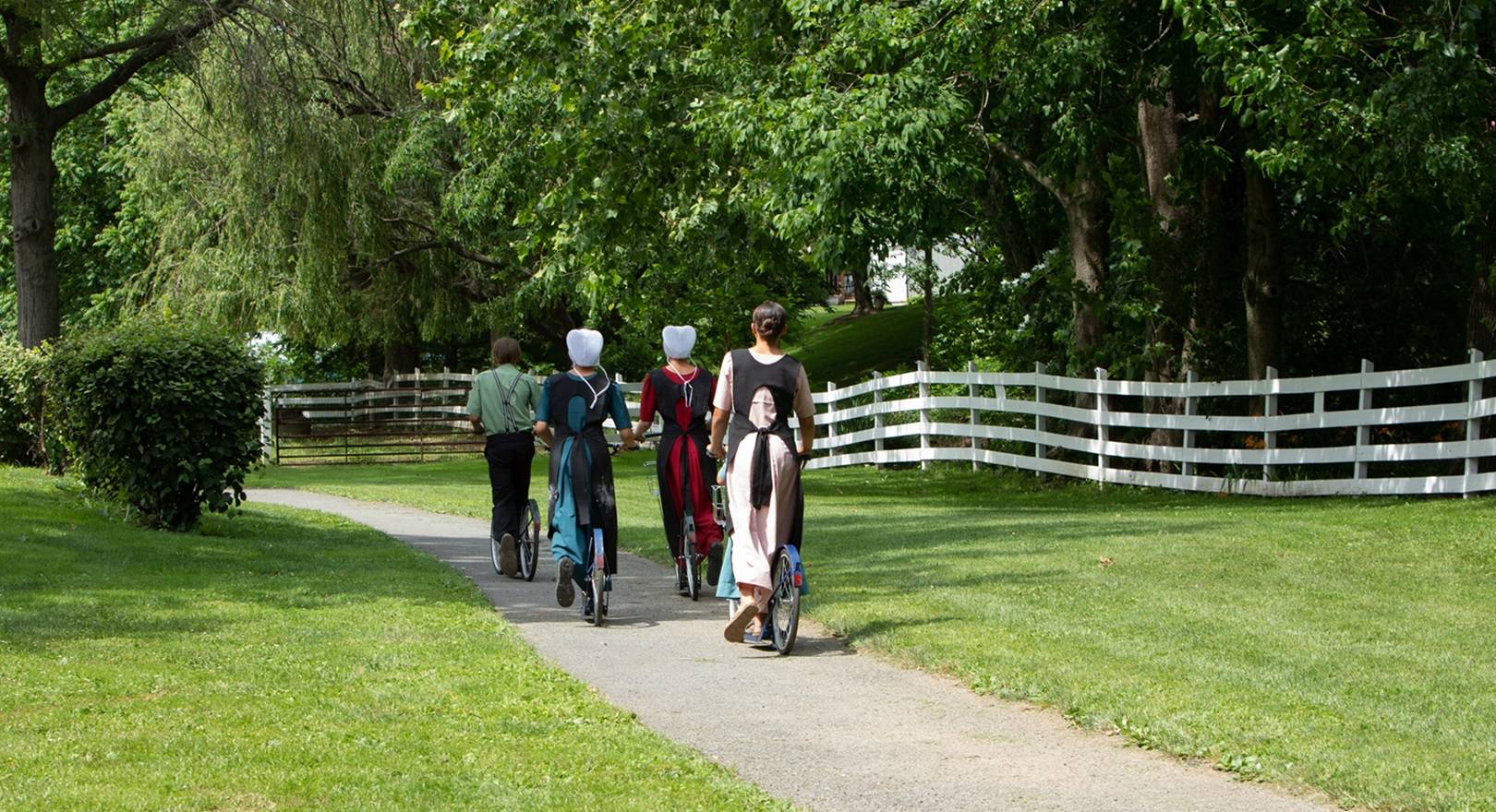 Amish Hotel: Amish Scooter