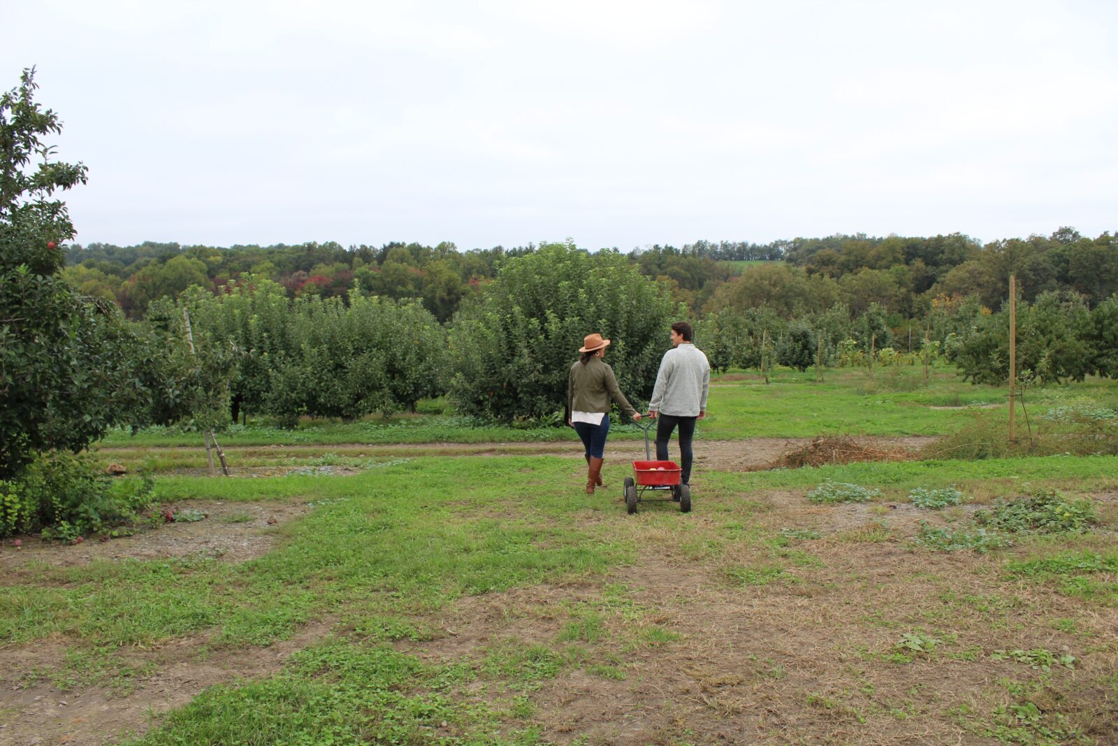 Couple Fruit Picking. Photo Credit: Discover Lancaster
