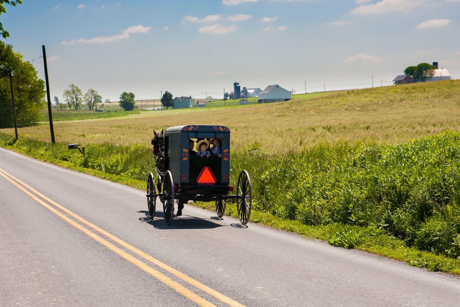 Amish Country Hotel - Buggy Rides